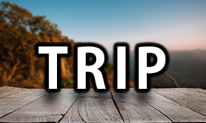 TRIP