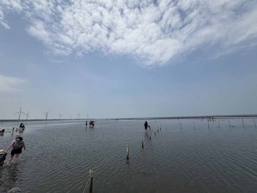 高美湿地